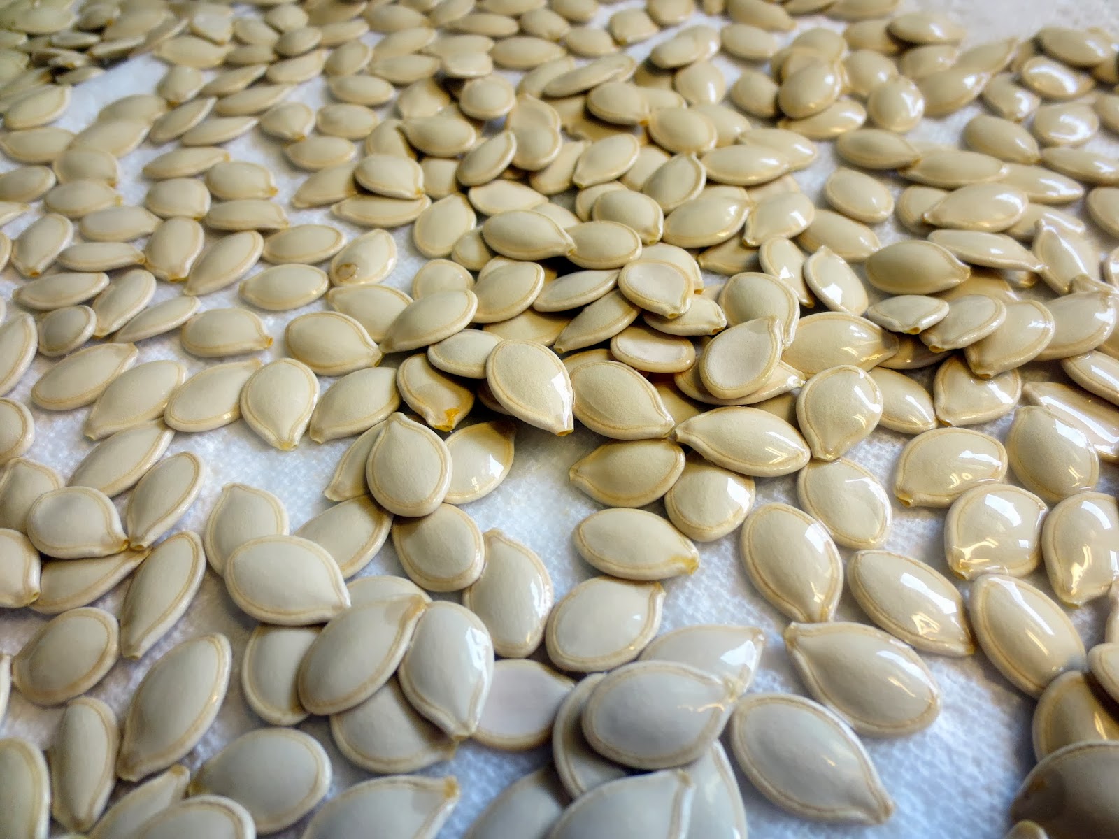 Toasted Pumpkin Seed Recipes to Go with Pumpkin Carving