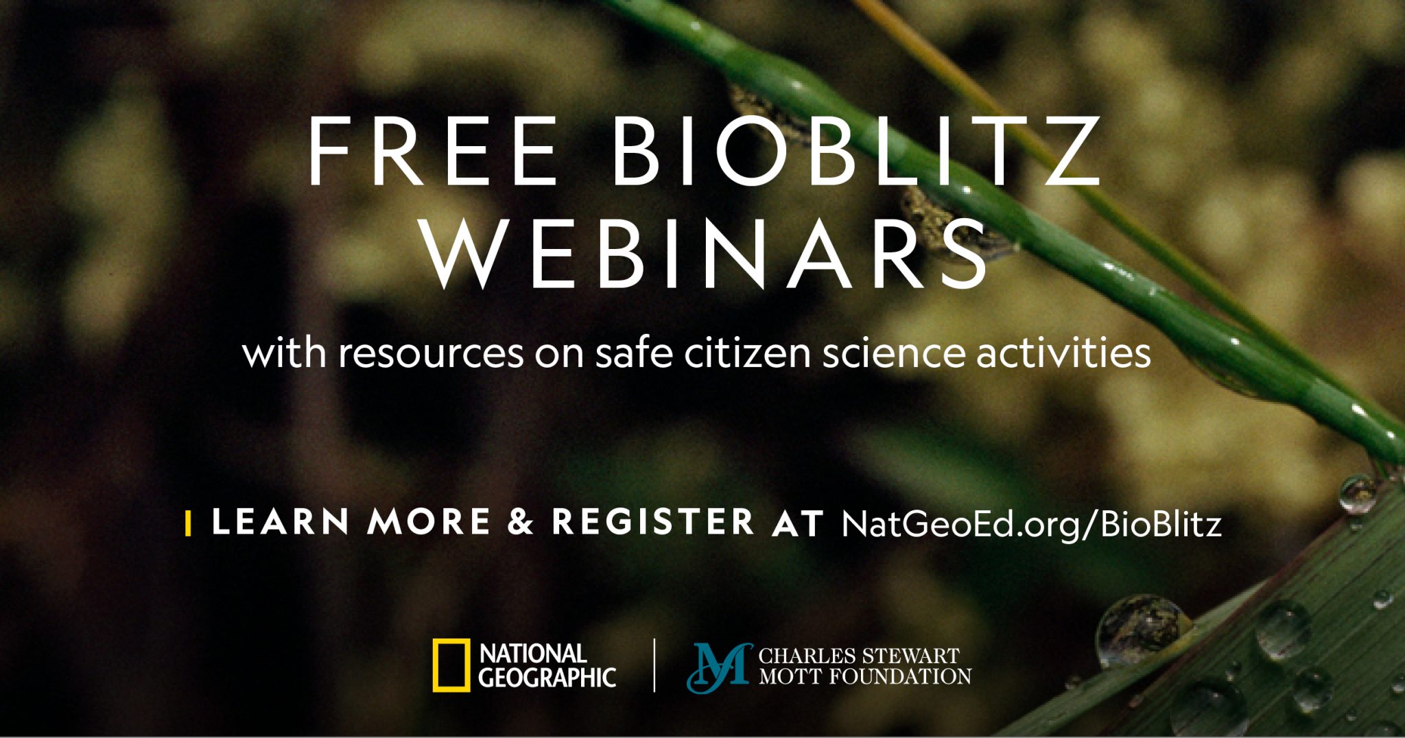 Free BioBlitz Webinars
